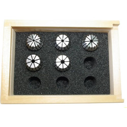 Set Pinze di Precisione ER 2.4-5.0 per PF400/FF PF500/CNC