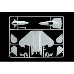 Lockheed-Martin F/A-22 "Raptor" 1/72