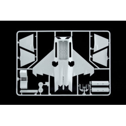 Lockheed-Martin F/A-22 "Raptor" 1/72