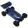 EVO PRO BUGGY Brushed 4WD 1/10 RTR