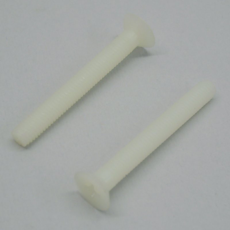 Vite Testa Svasata a Croce M5 x 40 Nylon (10)