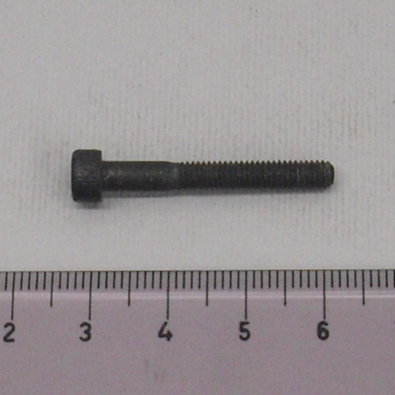 Vite Testa Cilindrica a Esagono Incassato M4 x 30 Brunita (20)