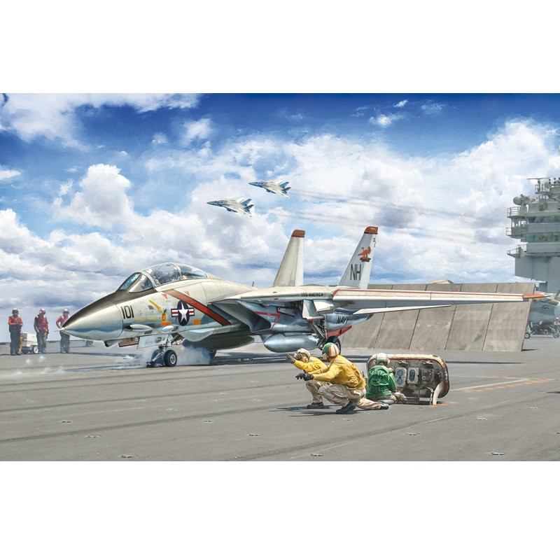 Grumman F-14A Tomcat 50th Anniversary 1/72