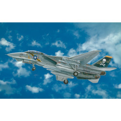 Grumman F-14A "Tomcat" 1/48