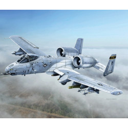 Grumman A-10C Thunderbolt II "Blacksnakes" 1/48