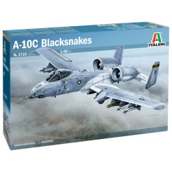 Grumman A-10C Thunderbolt II "Blacksnakes" 1/48