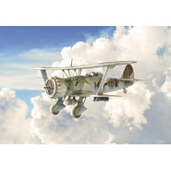 Henschel Hs 123 1/48