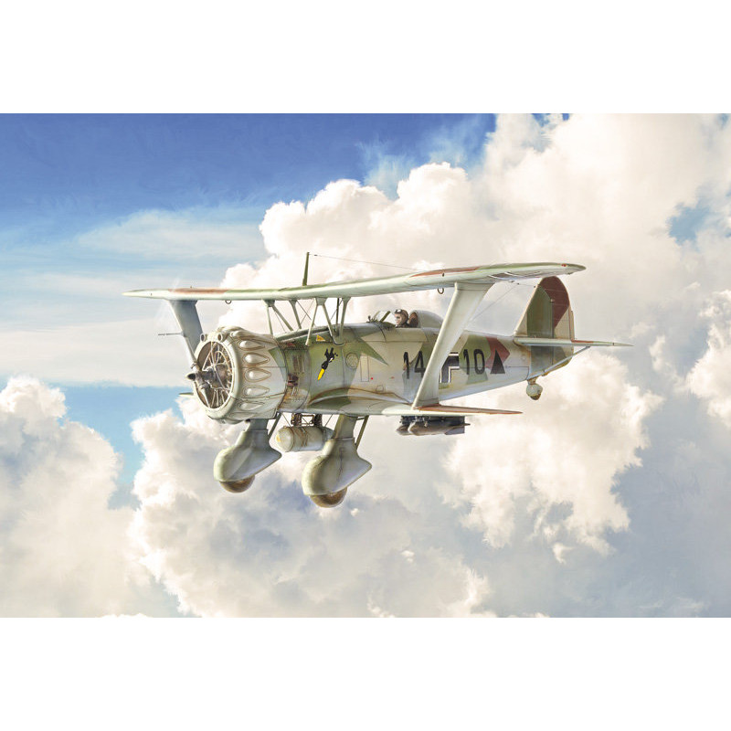 Henschel Hs 123 1/48