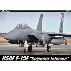 McDonnell-Douglas F-15E Eagle "Seymour Johnson" 1/48