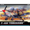Curtiss P-40B Warhawk 1/72