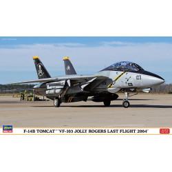 Grumman F-14A Tomcat "Jolly Rogers last flight 2004" 1/72
