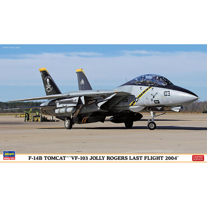 Grumman F-14A Tomcat "Jolly Rogers last flight 2004" 1/72