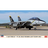 Grumman F-14A Tomcat "Jolly Rogers last flight 2004" 1/72