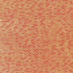 Muro di Mattoni mm. 250 x 125