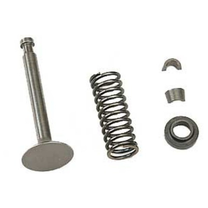Valvola di Scarico FS120S (45560140)
