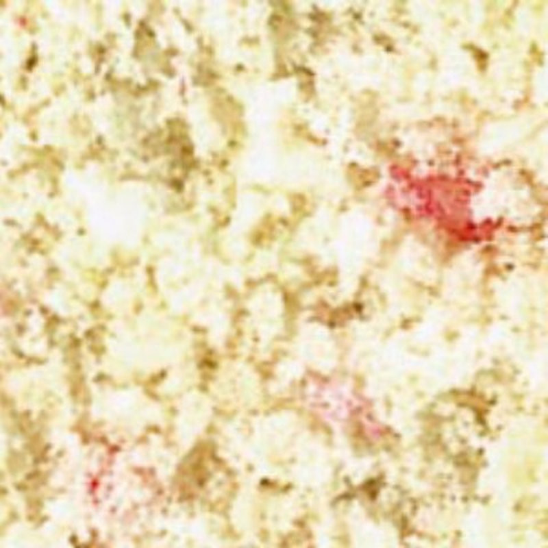 Flora Bianco-Rosa (200cc)